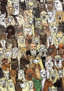 Saltaire alpacas illustration
